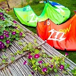 Kiteshomes Masainas