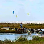 Apartman Kiteshomes *
