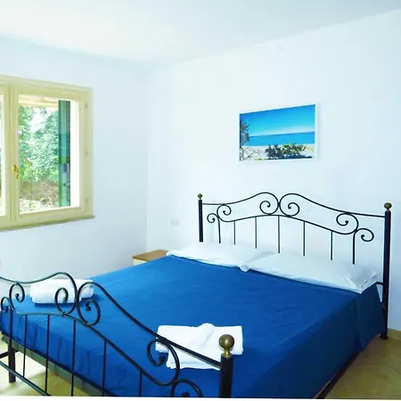 Kiteshomes *