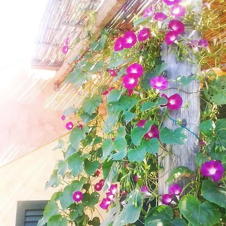 Apartament Kiteshomes