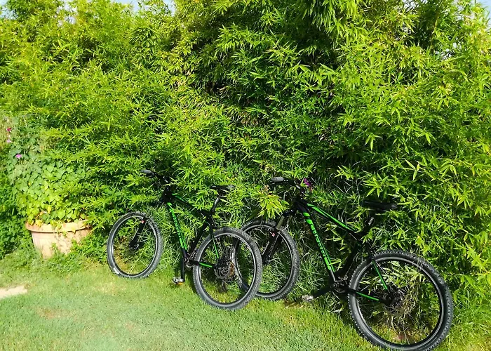 Kiteshomes アパート