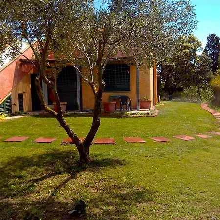 Kiteshomes Masainas
